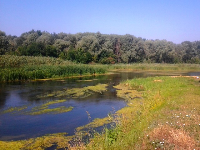 Щастинський район