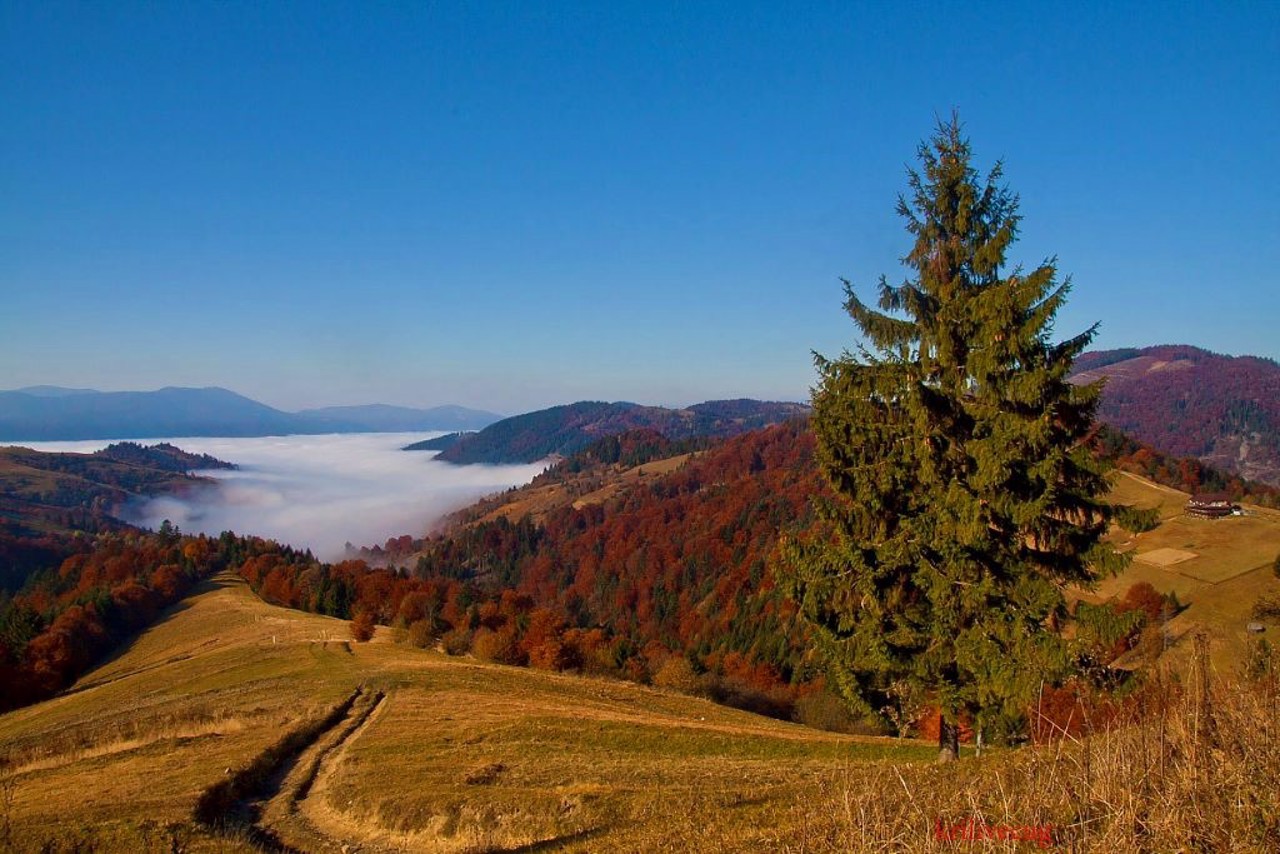 Селище Міжгір'я, Закарпаття