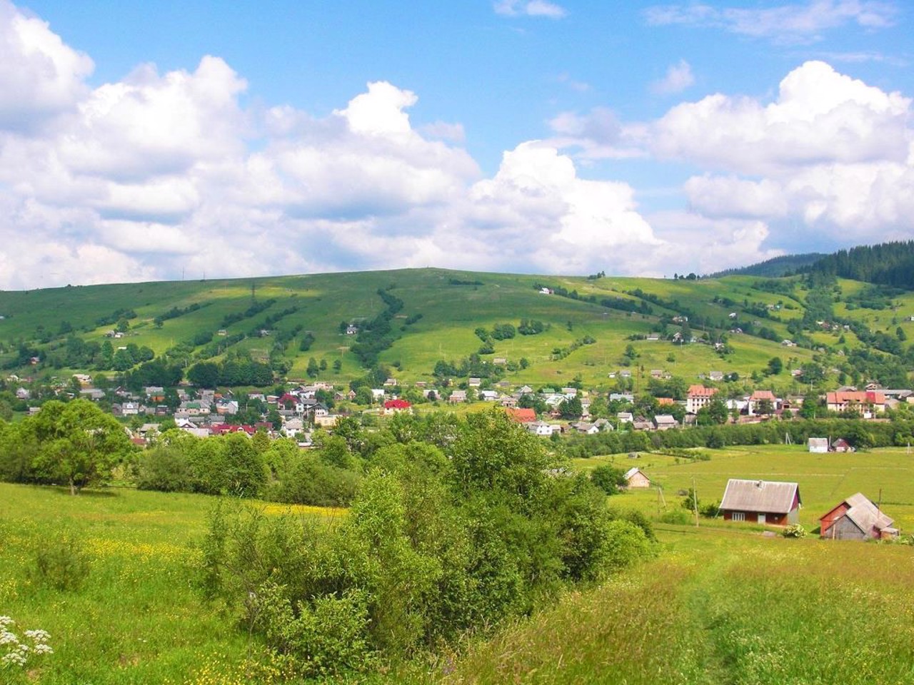 Селище Ясіня