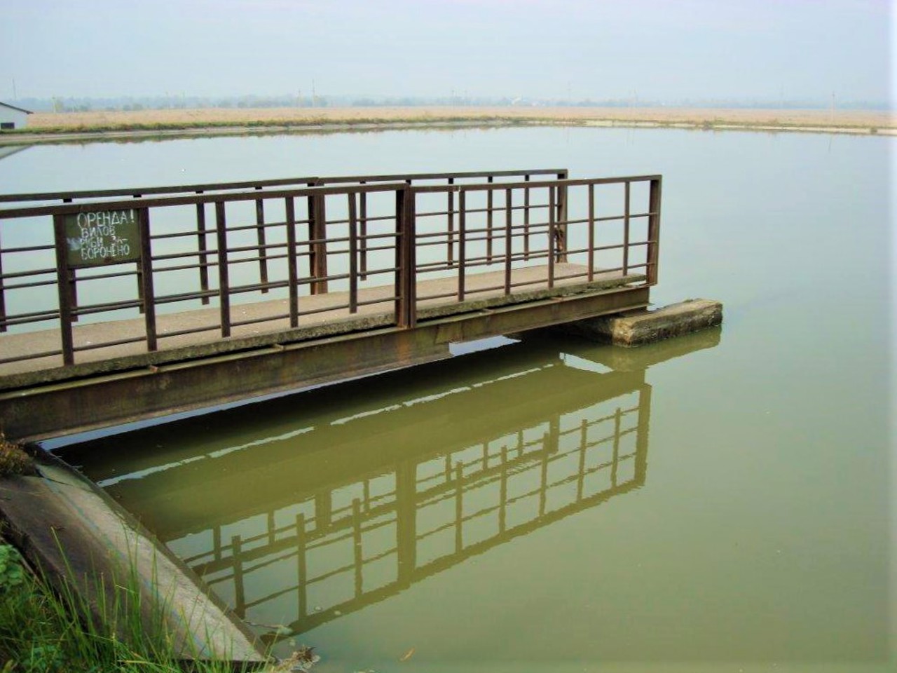 Село Лесная Слободка