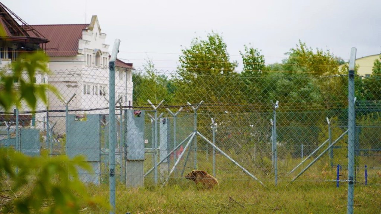 Село Чубинське 