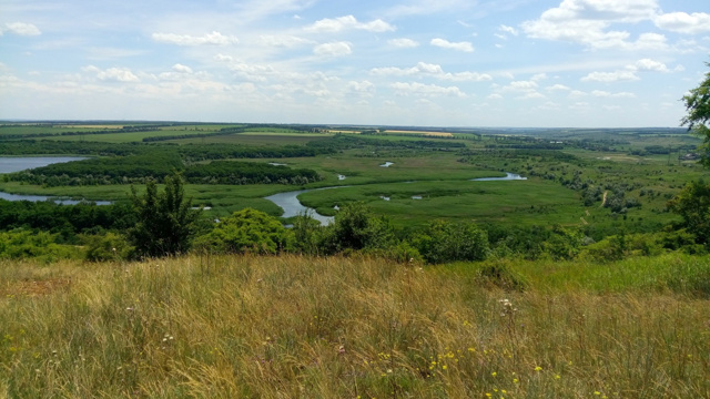 Горлівський район