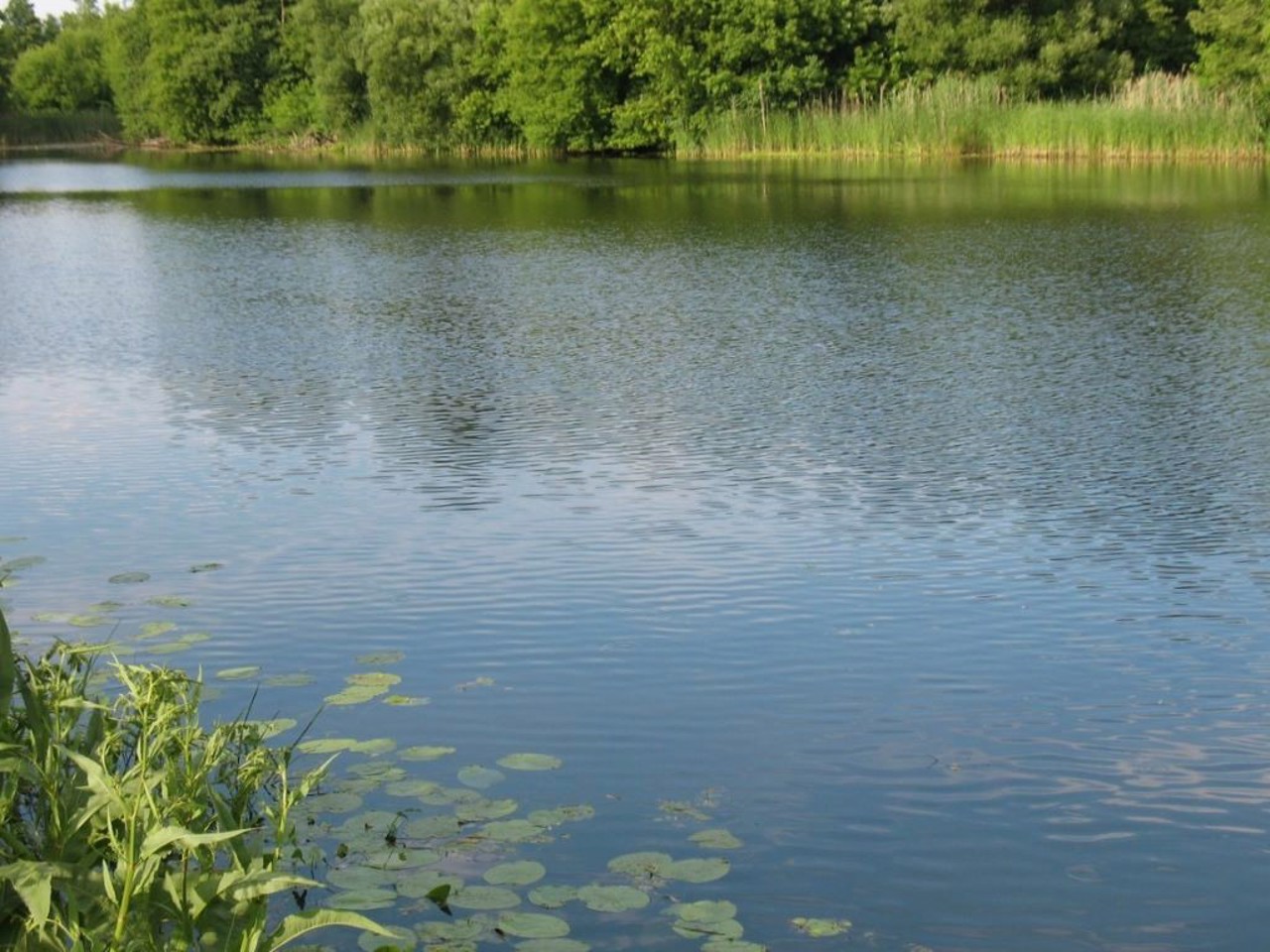 Село Климентово