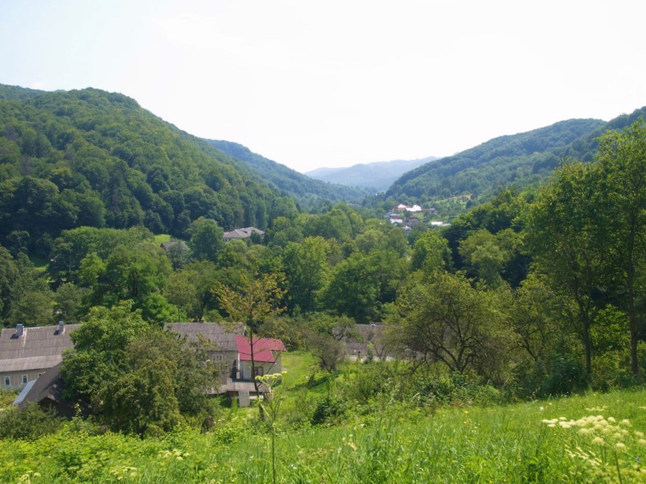 Село Виженка