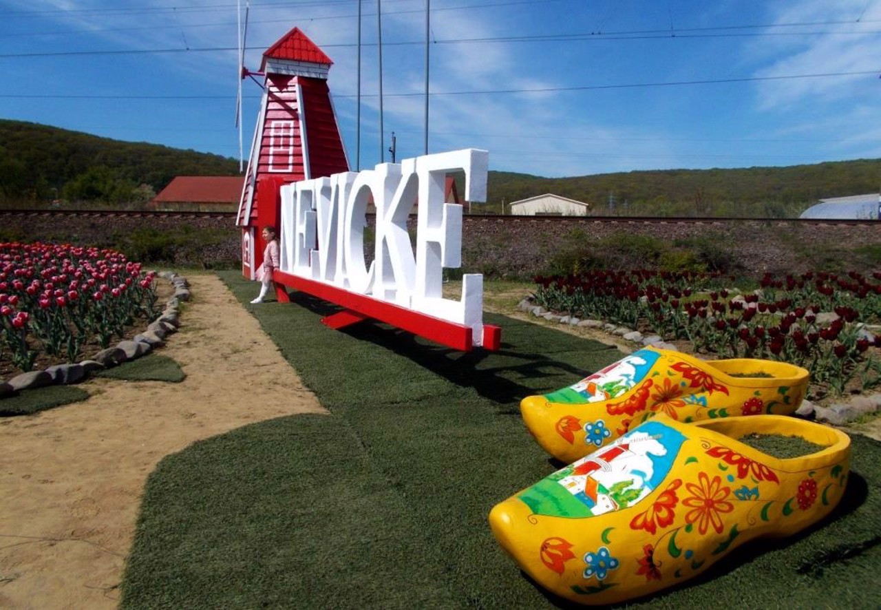 Село Невицьке