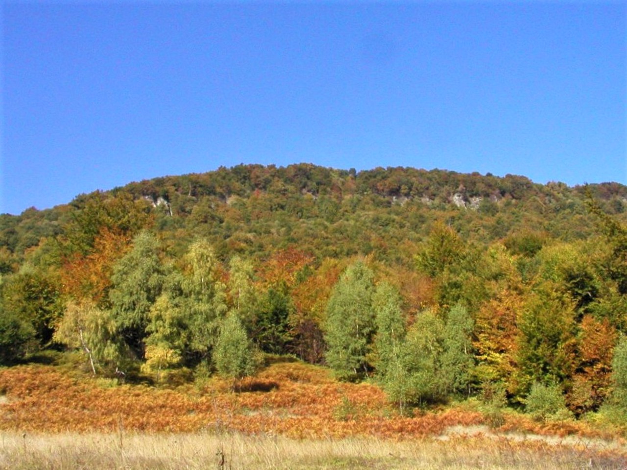 Село Княгиня