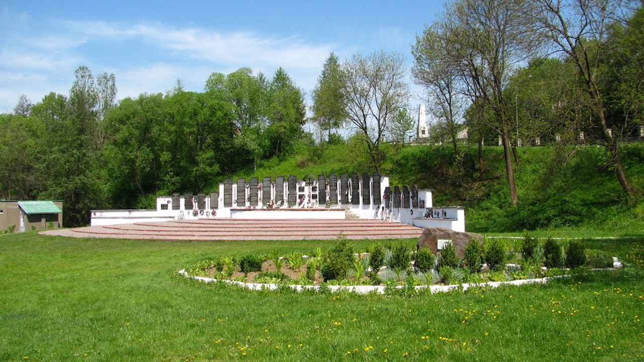 Svaliava city