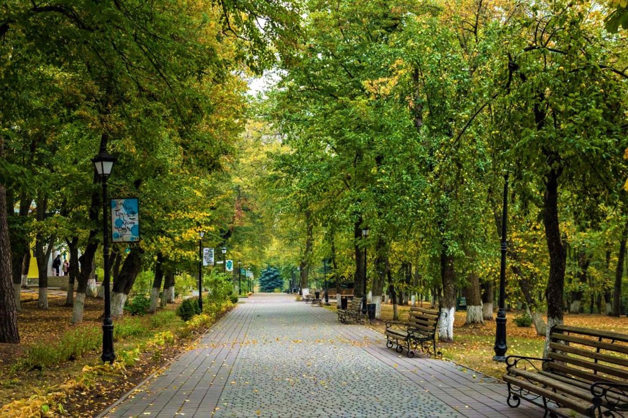 Село Сковородинівка