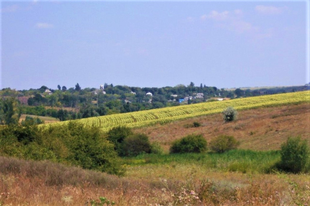 Село Золотий Колодязь