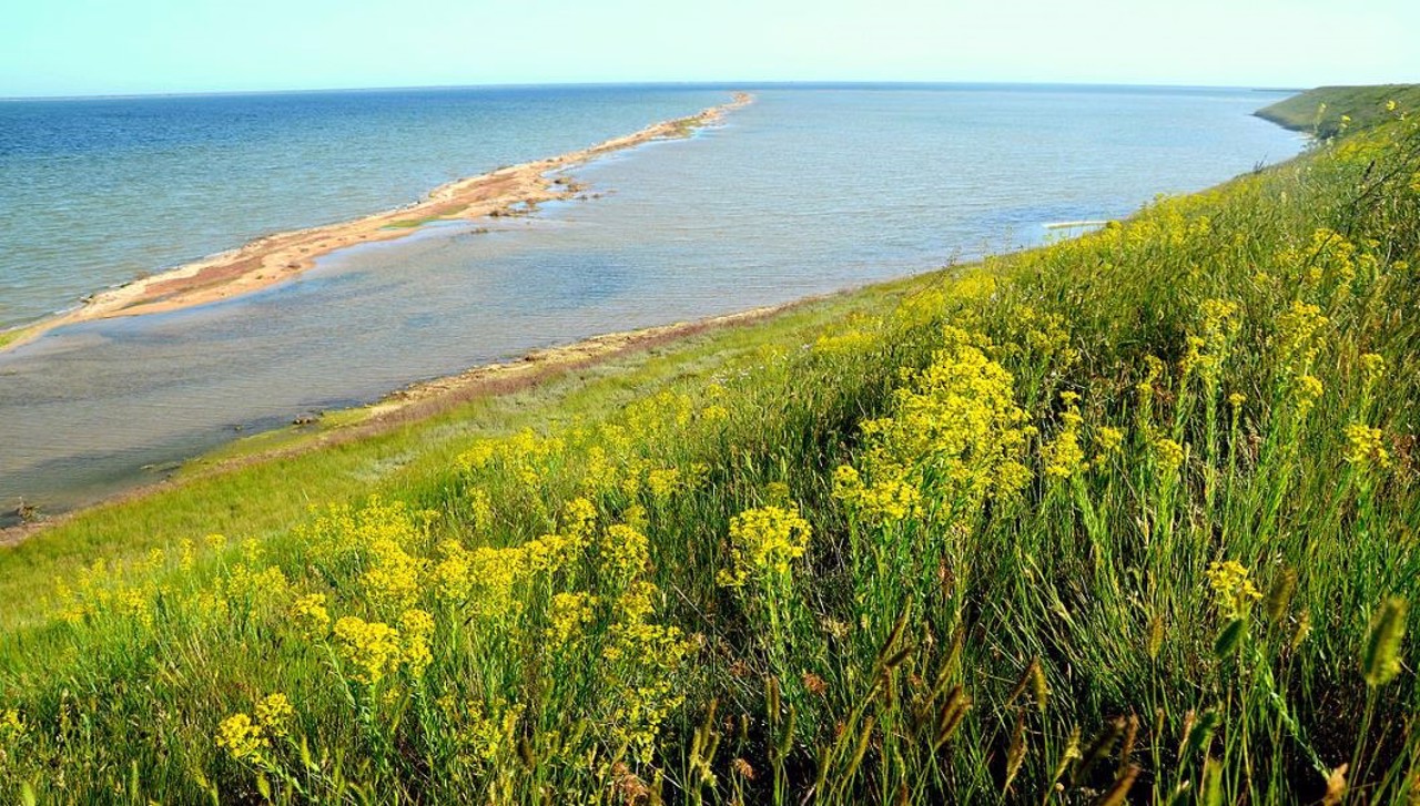 Resort Lebedivka, Odesa region