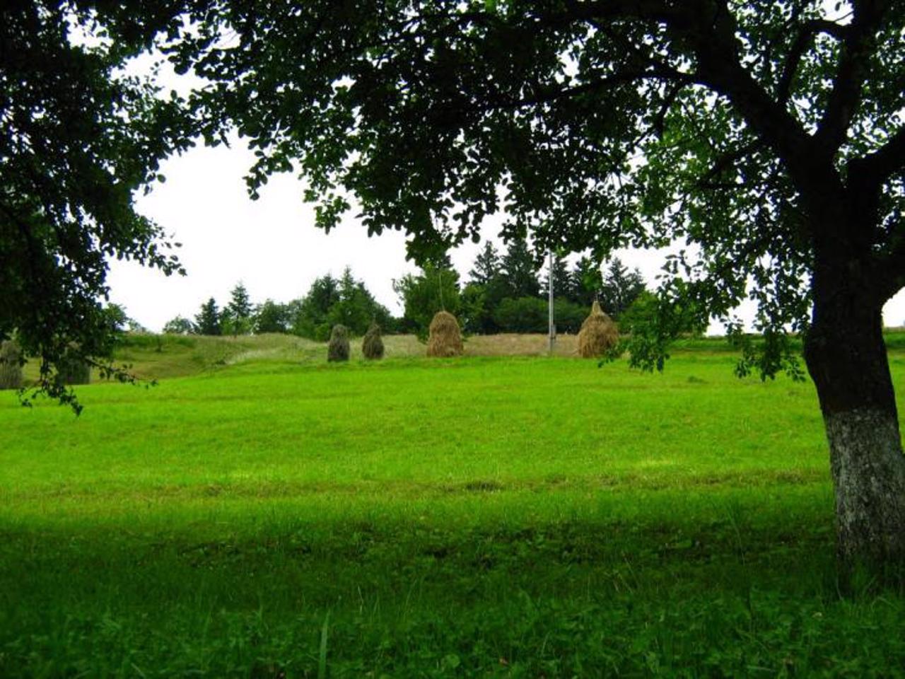 Село Торунь