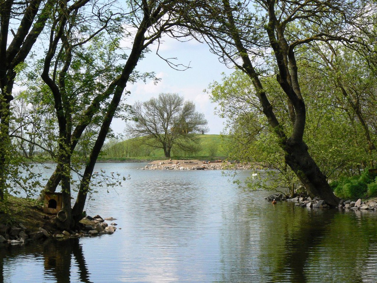Поселок Аскания-Нова
