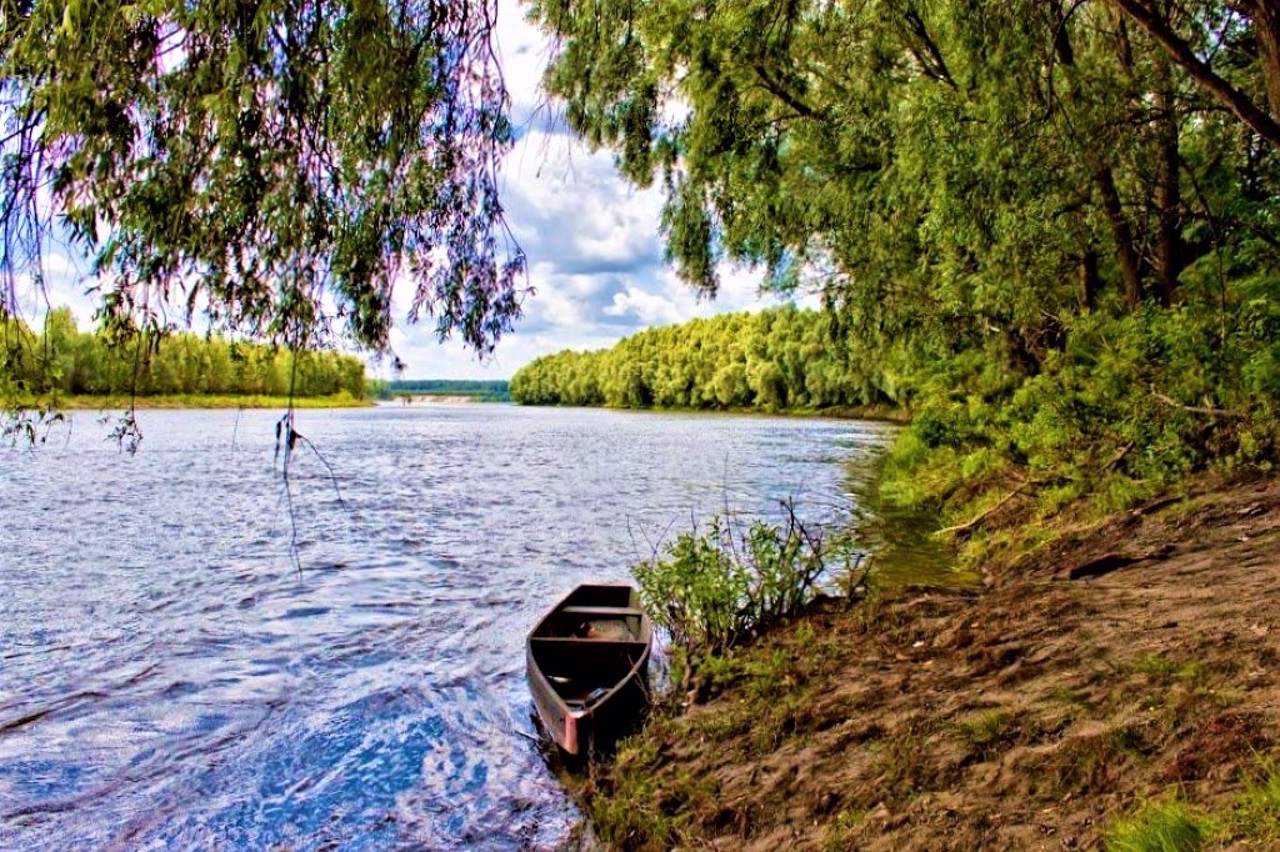 Село Максим