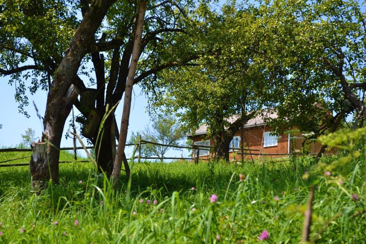Село Хащованя