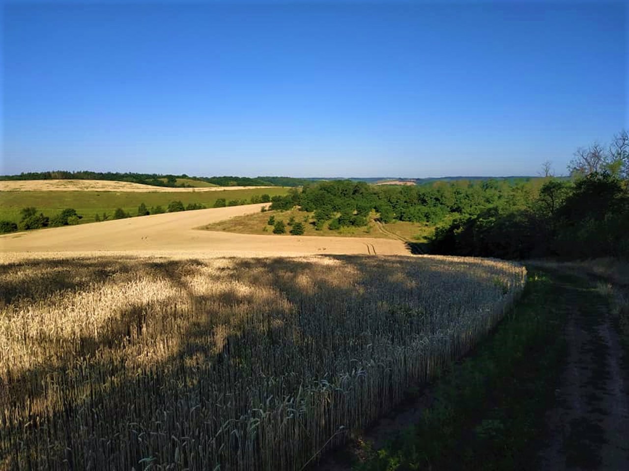 Село Чубівка