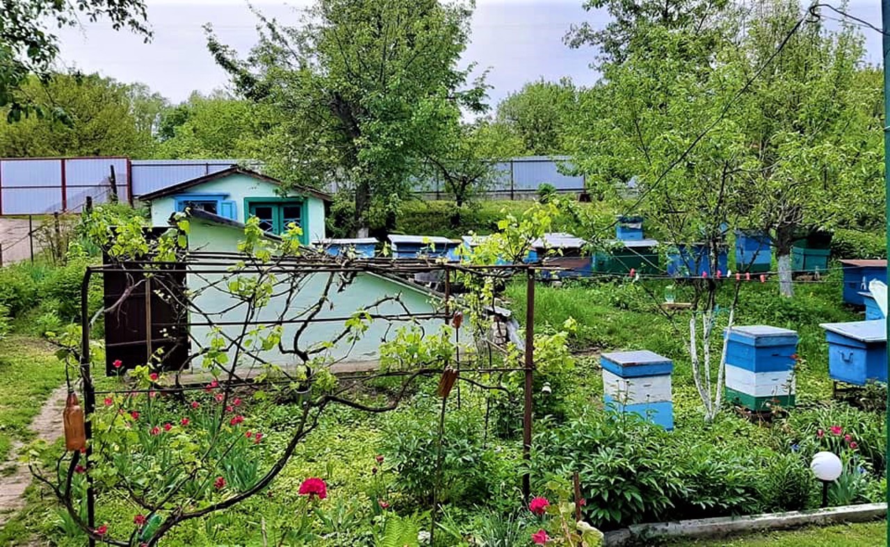 Bezpalche village
