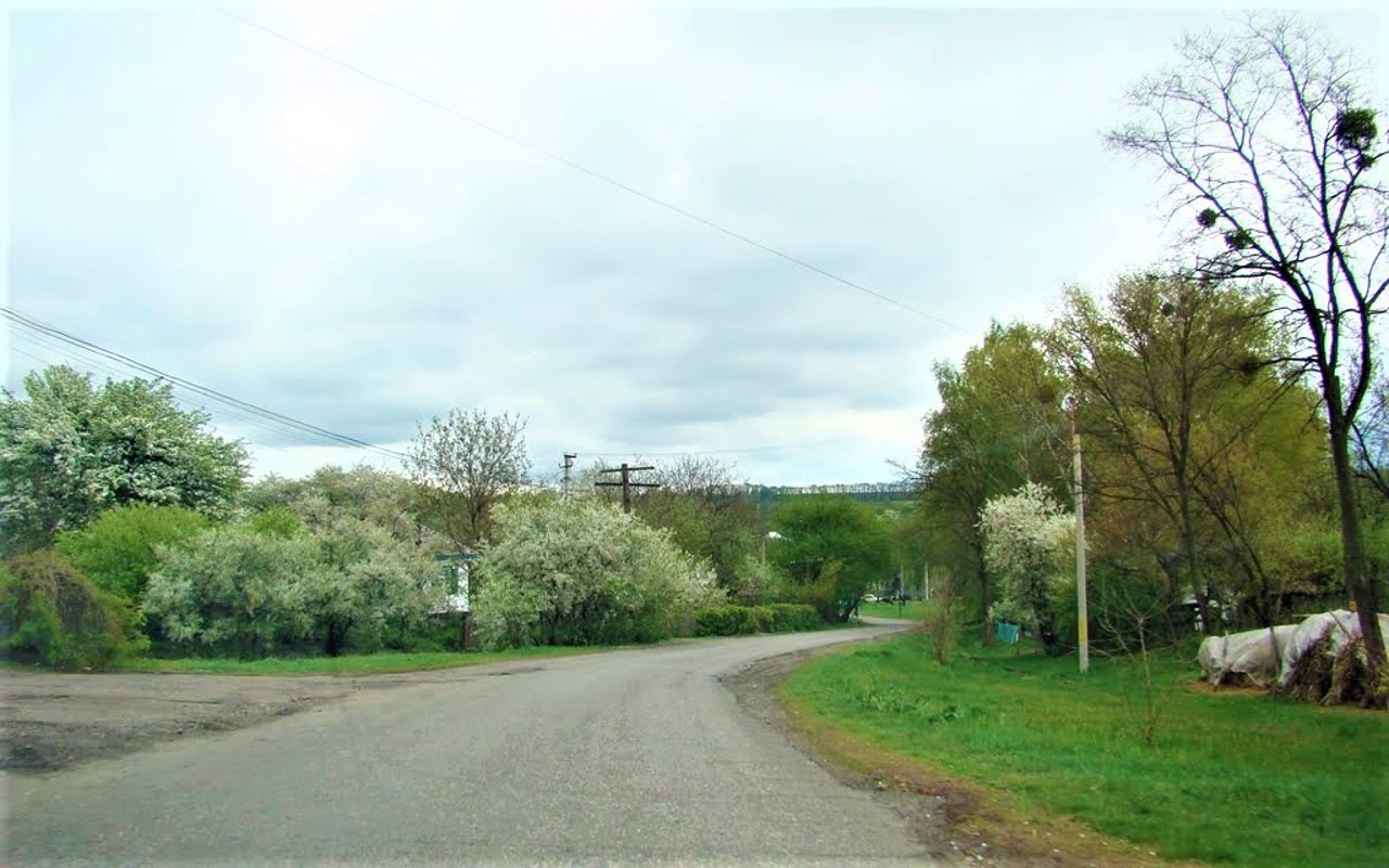Verbivka village, Cherkasy district