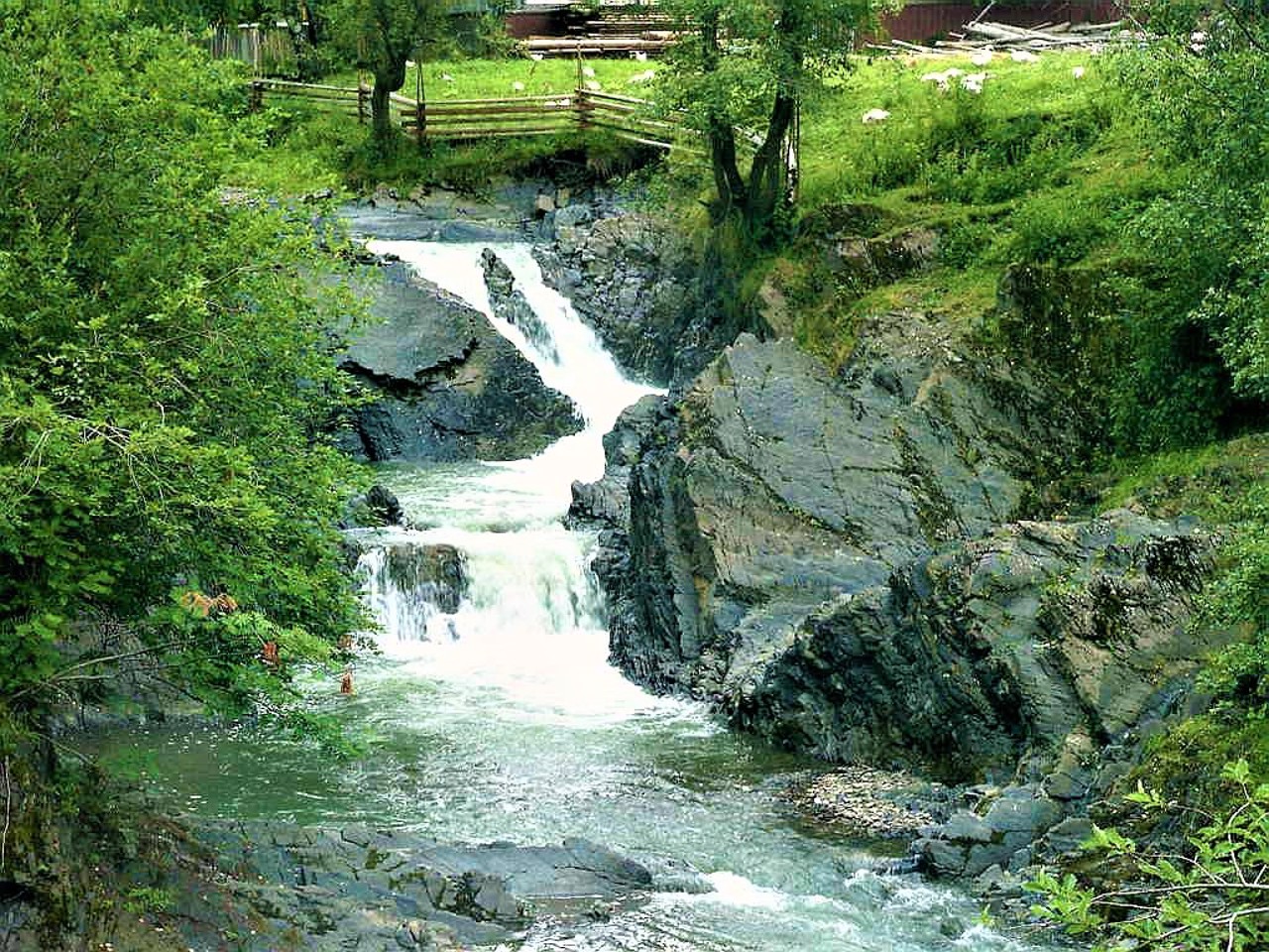 Село Шепіт, Вижницький район