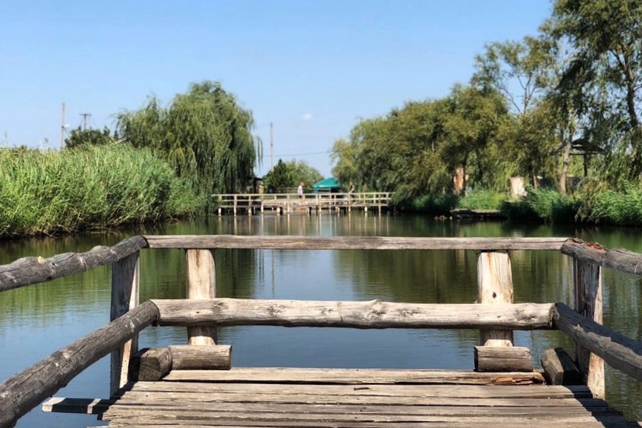 Село Павлівка, Одеська область, Степанівська громада