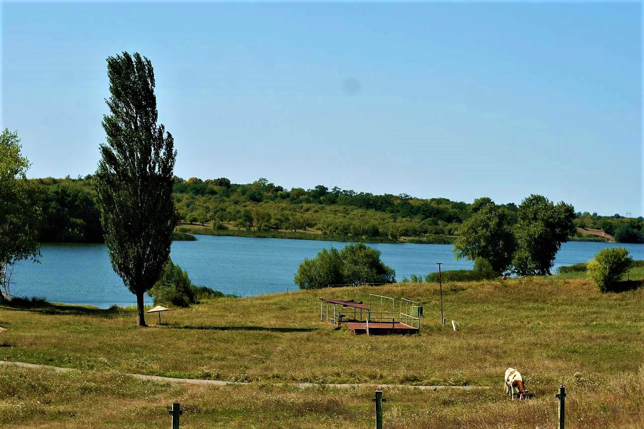 Andrushky village