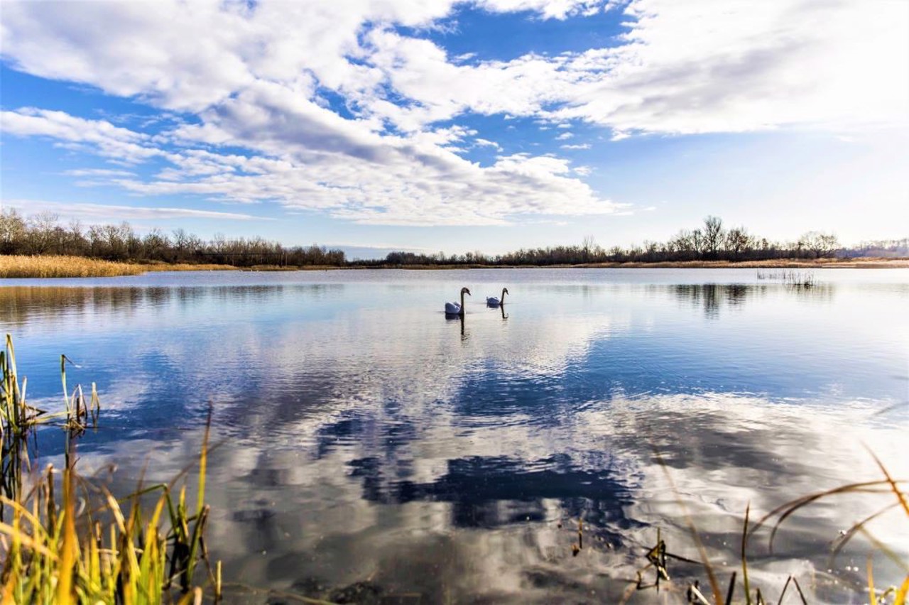 Село Чортория, Вижницький район