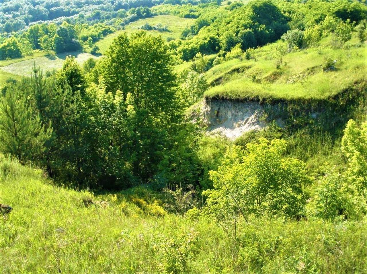 Hamarnia village, Khmelnitskyi region