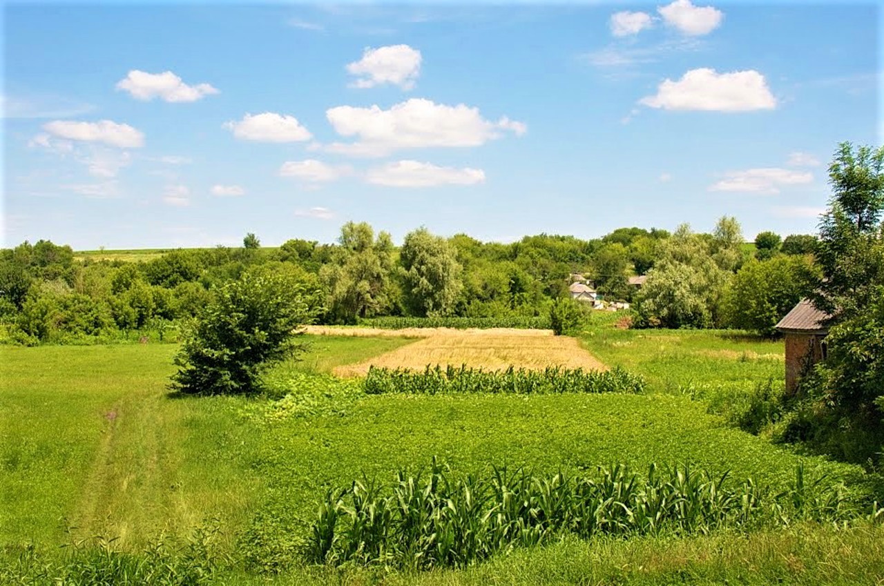 Kosari village