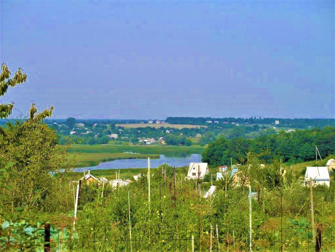 Село Еленовка, Фастовский район