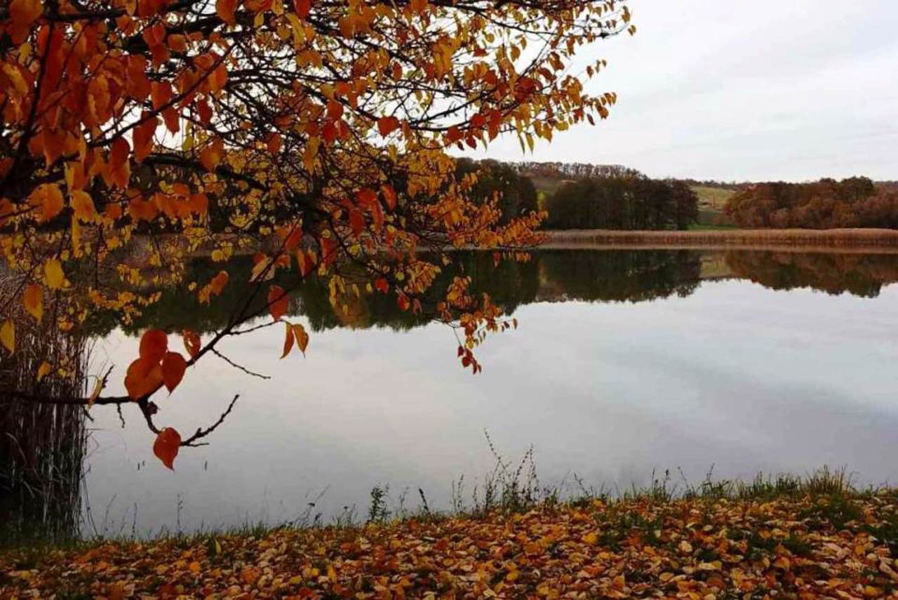 Село Залізнячка