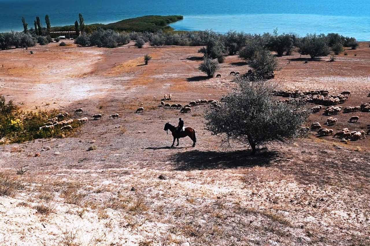 Село Котловина