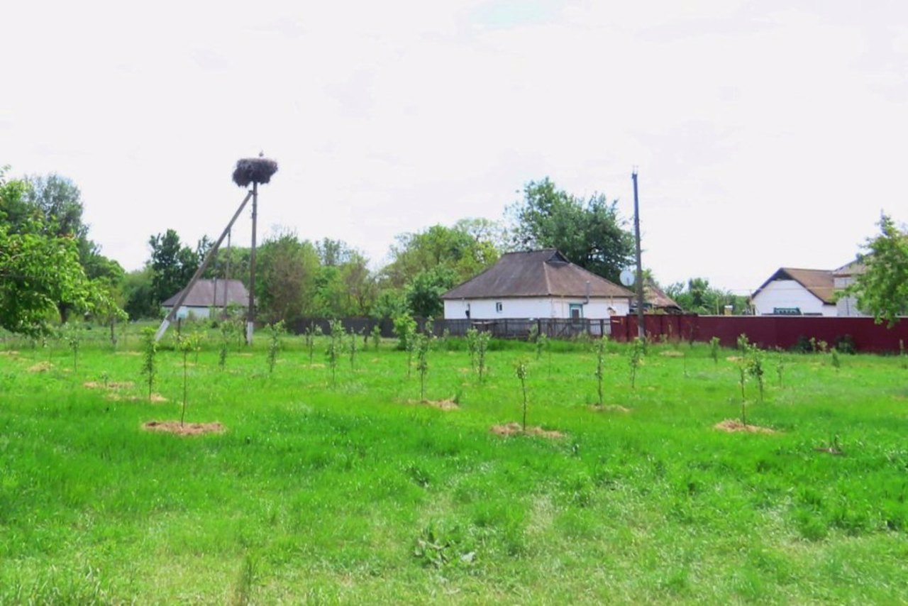 Trubaitsi village