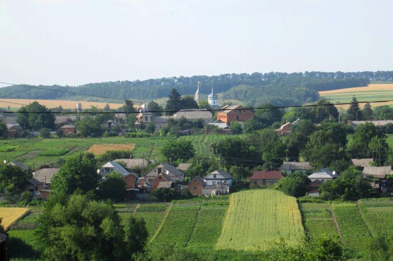 Село Тимановка, Винницкая область
