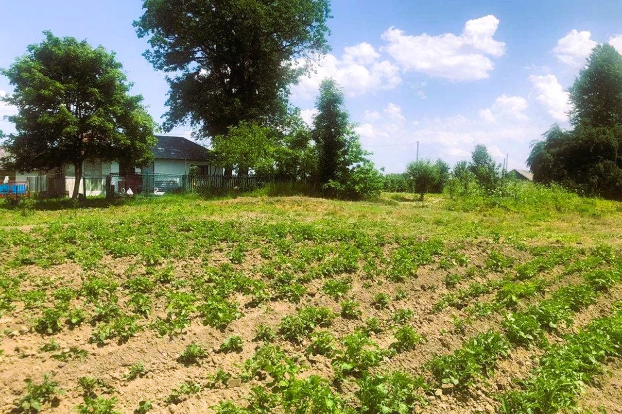 Село Підгір’я (Прикарпаття)