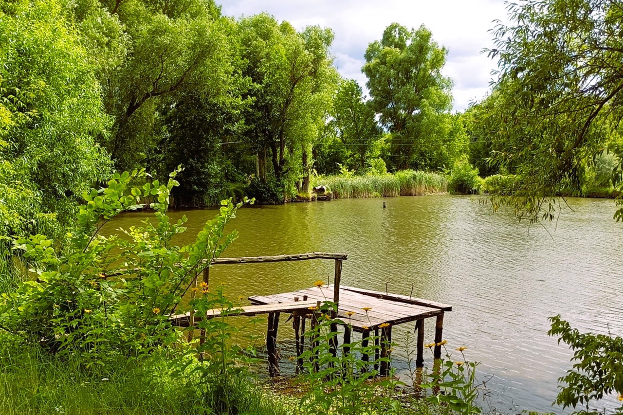 Село Македоны