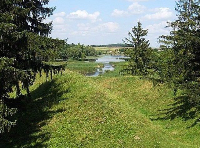 Губинське городище, Губин