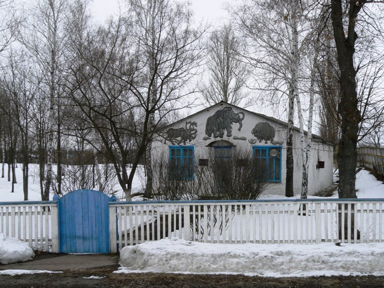 Музей "Добраничівська стоянка"