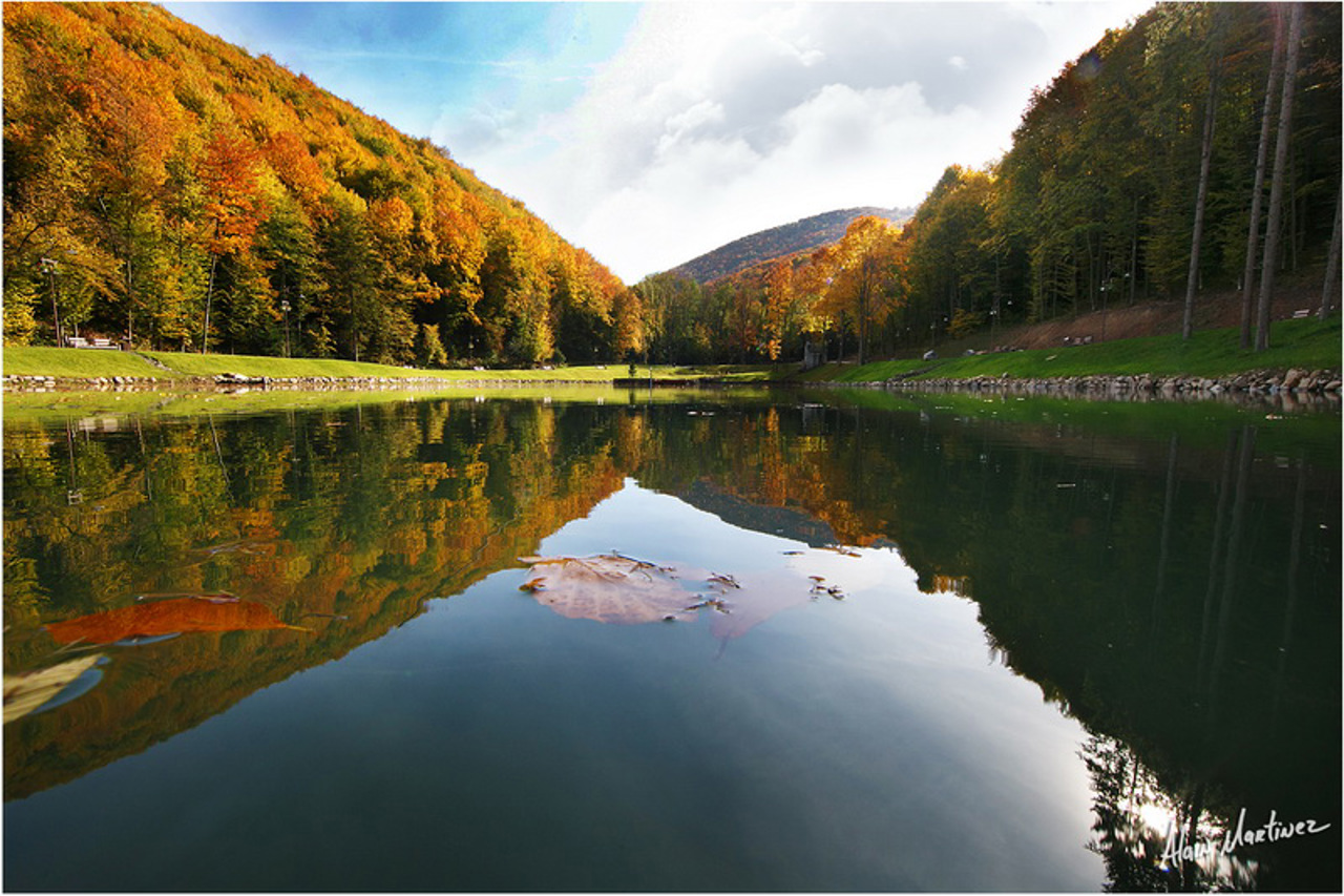 Парк Шенборна, Турья Пасека