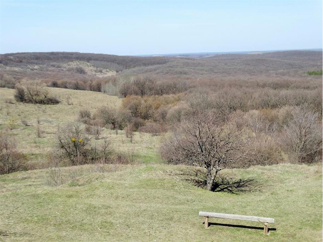 Атаманский парк, Головковка
