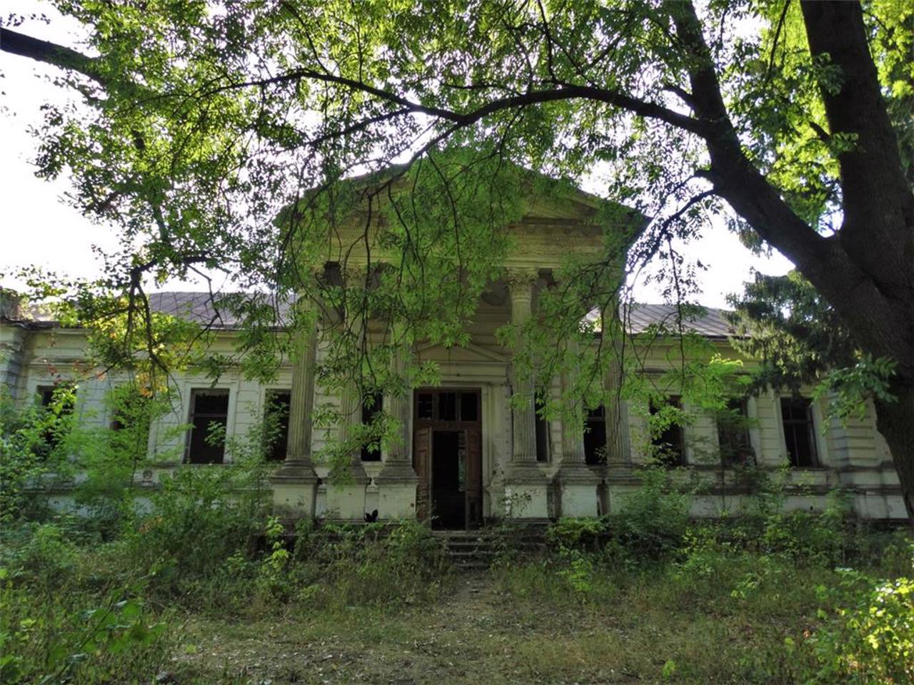 Палац Корніцьких, Рогачі