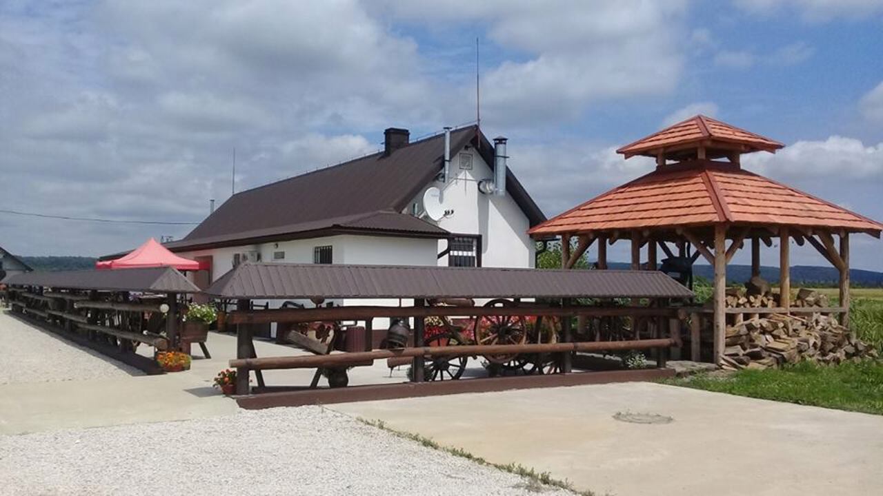 Ферма "Карпатський буйвіл", Виноградів