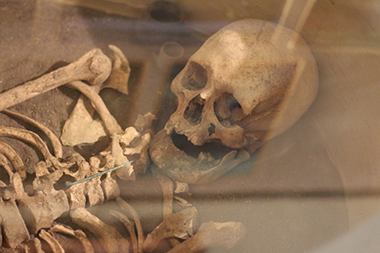 Archaeological Museum Lviv