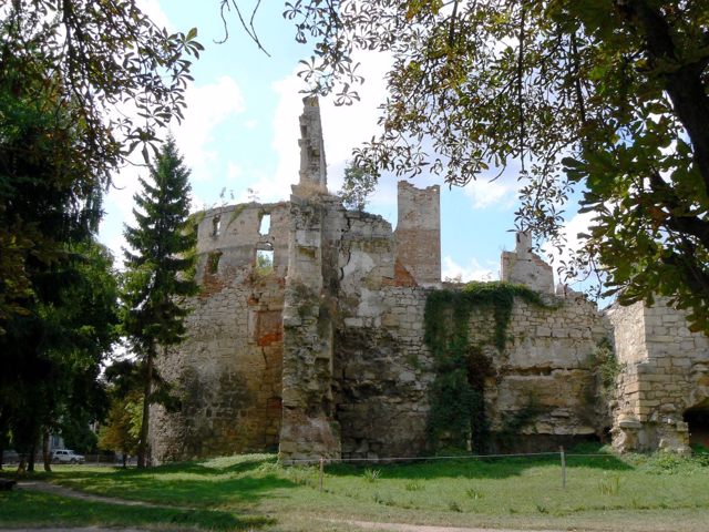 Бережанський замок Синявських, Бережани