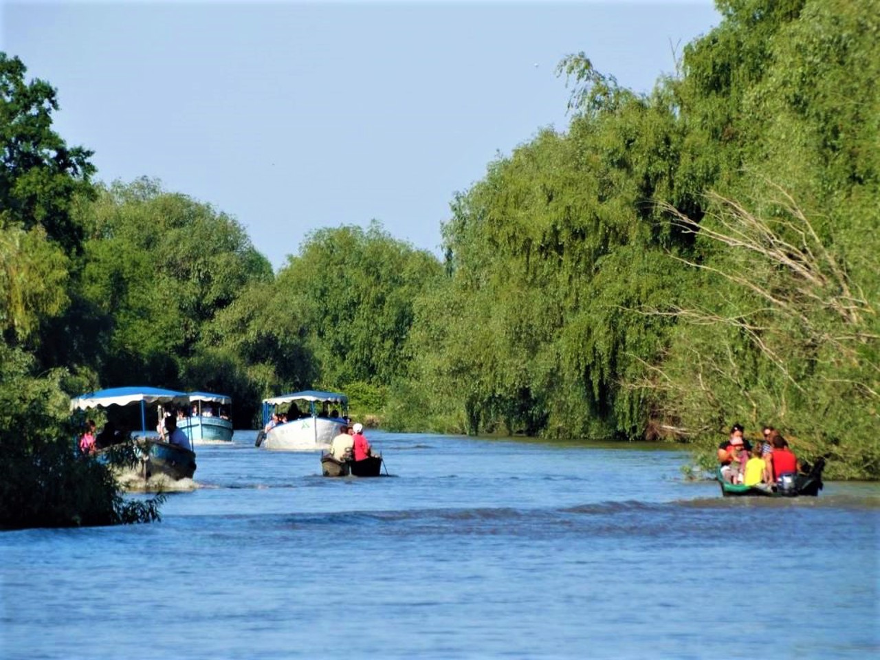 Дунайський біосферний заповідник, Вилкове