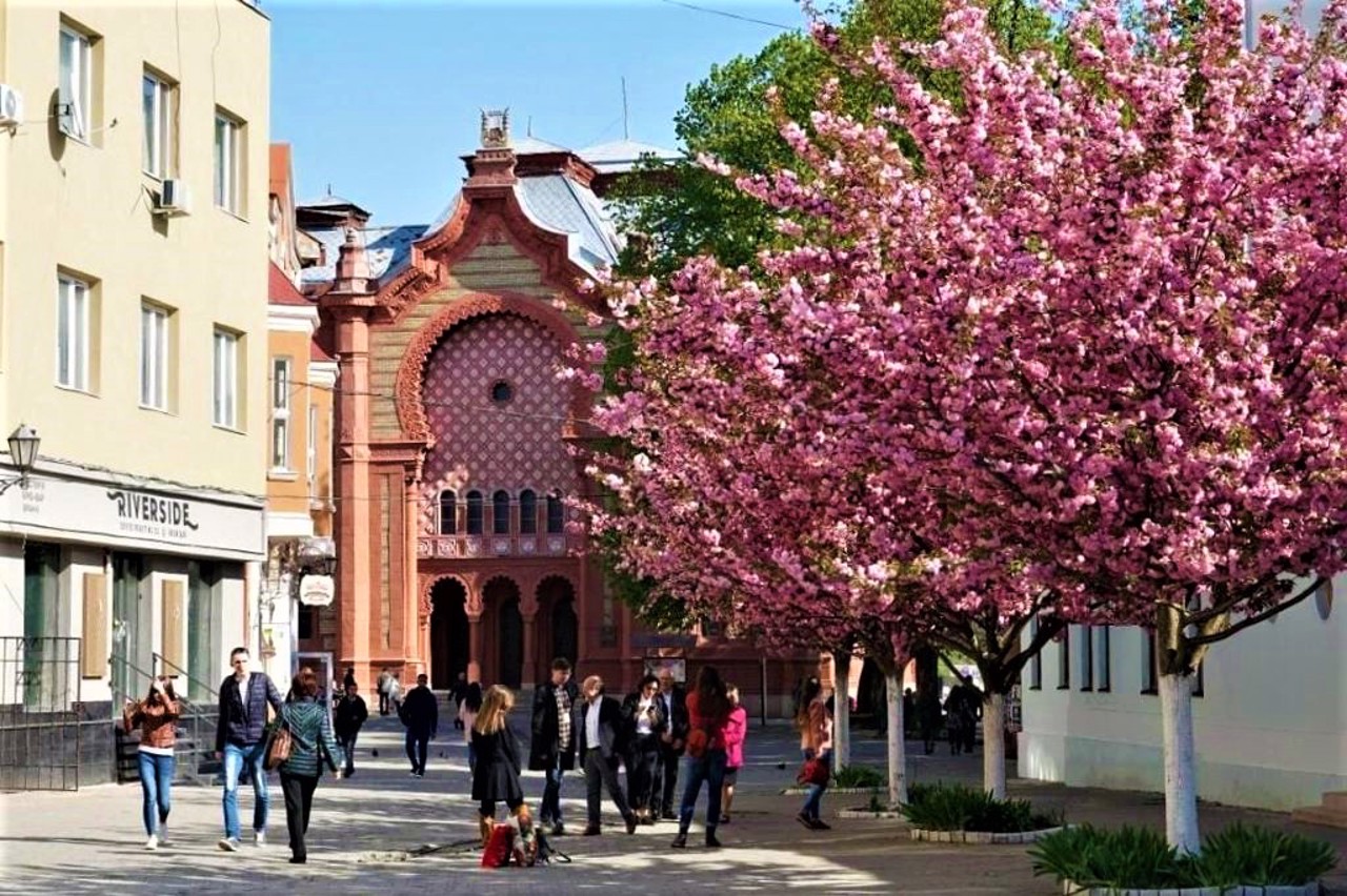 Сакуровая аллея, Ужгород