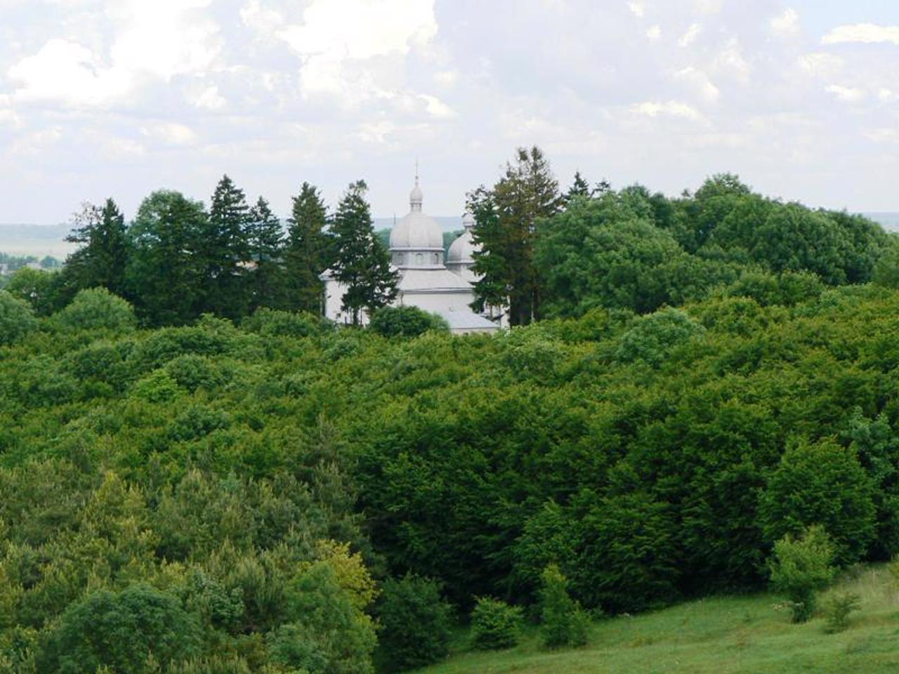 Старозбаразька фортеця, Старий Збараж