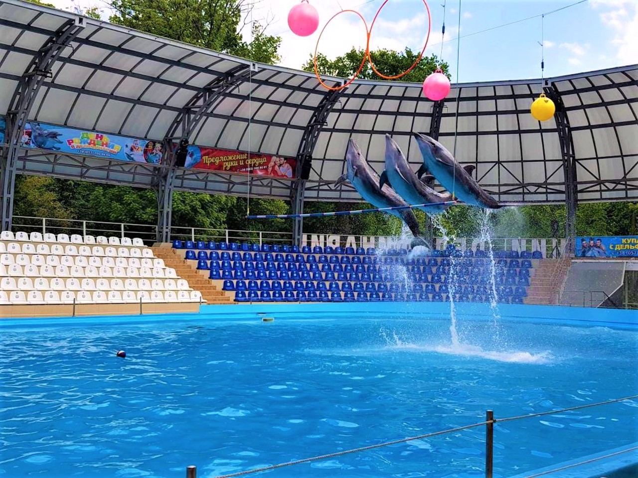 Dolphinarium Nemo, Kharkiv