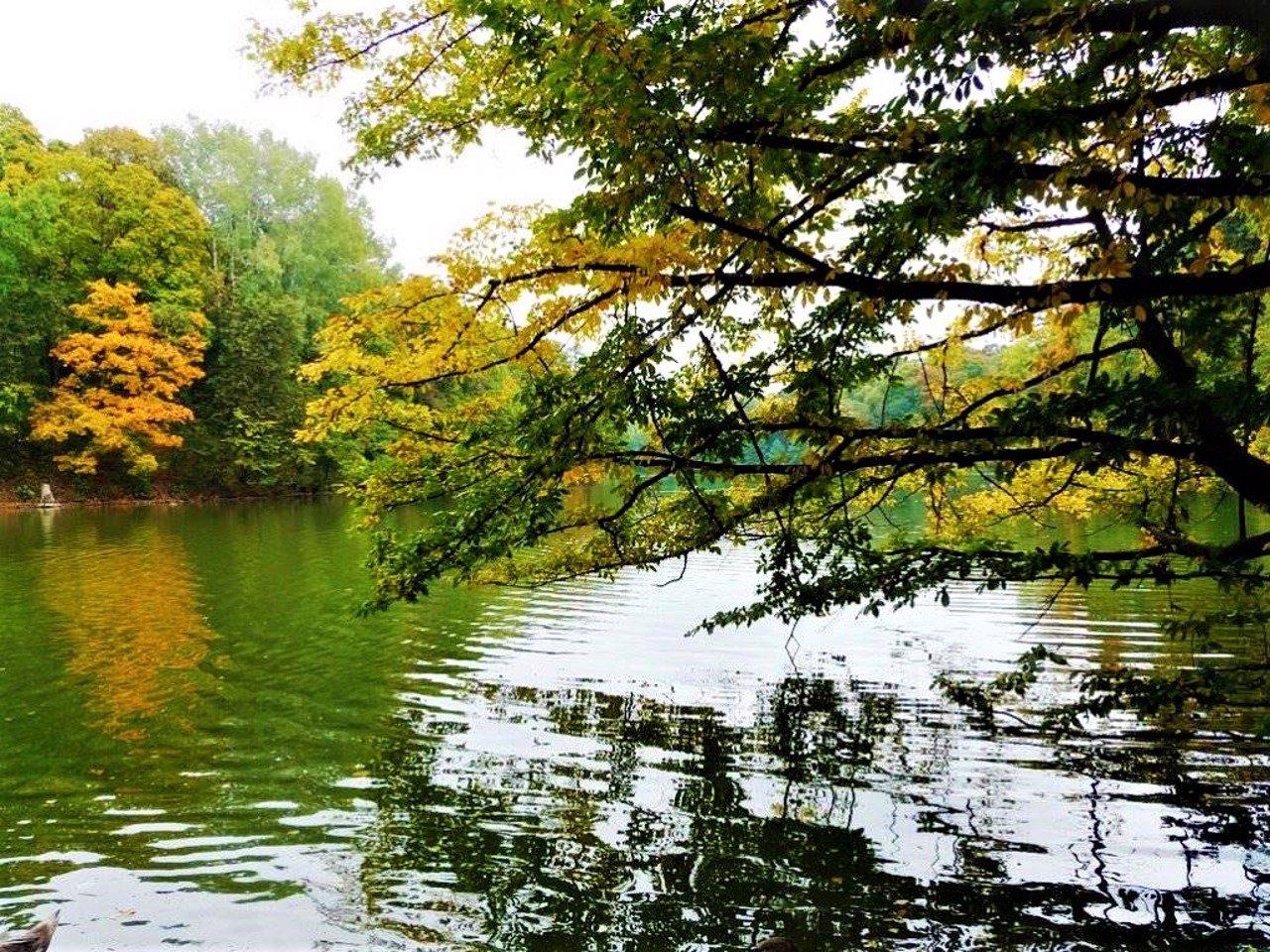Trostianets Arboretum