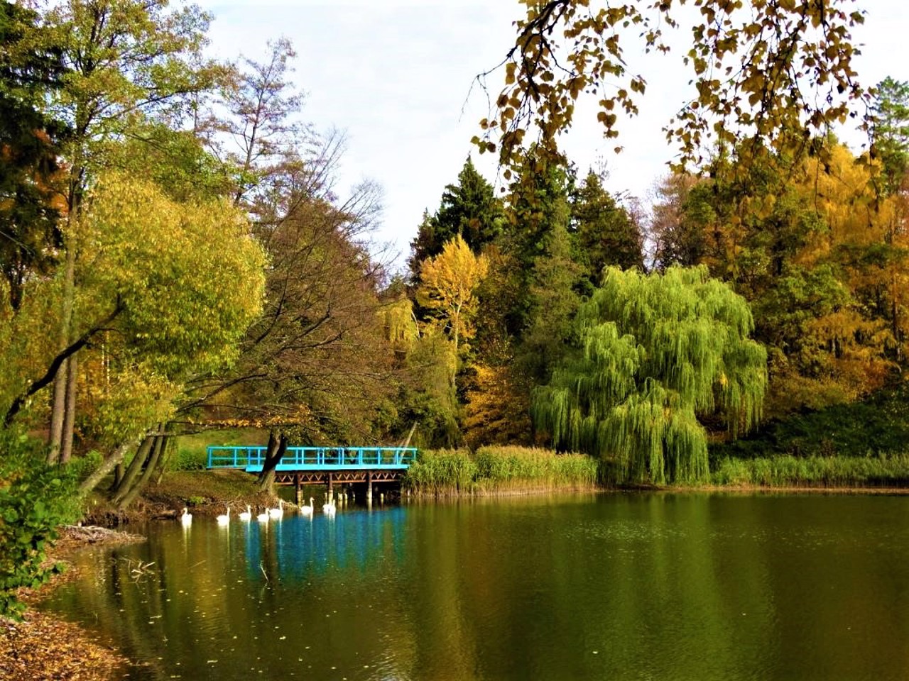 Trostianets Arboretum