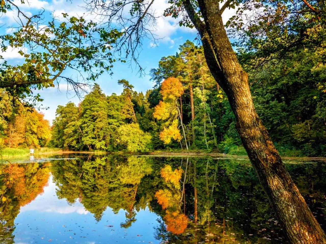 Trostianets Arboretum