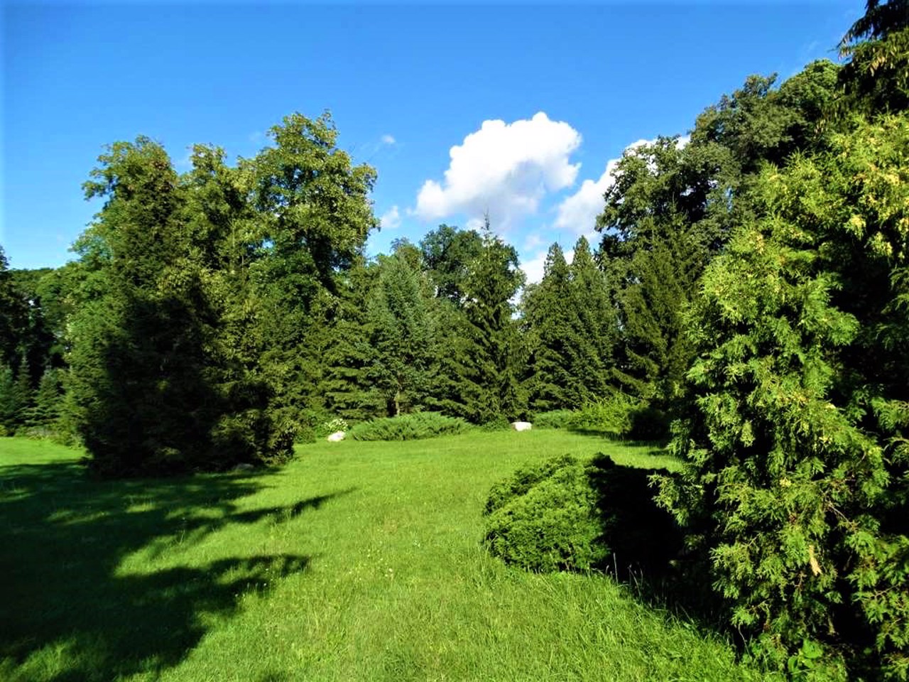 Trostianets Arboretum